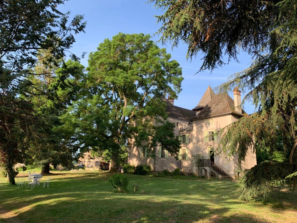 Château du Mauny, gîtes et chambres d'hôtes en Bourgogne Rosey Extérieur photo