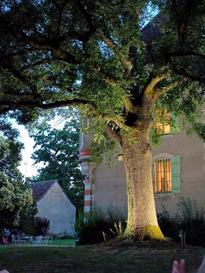 Château du Mauny, gîtes et chambres d'hôtes en Bourgogne Rosey Extérieur photo